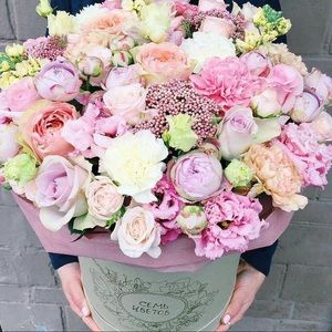 Meet your Posher, Laurie